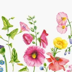 Duni Classic Servetten 40x40cm 2-lgs 1/4-vouw Flowy Meadow Pak 50 stuks