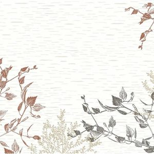 Duni Papieren Placemats 30x40cm Wood & Deer Pak 250 stuks
