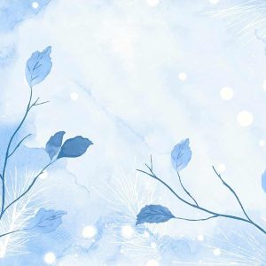 Duni Dunicel Placemats 30x40cm Frosted Winter Pak 100 stuks - Op is Op