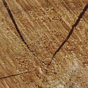 Duni Pochetten Wood 8,5x19cm met Servet Wit Doos 100 stuks - Op is op