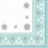 Duni Celstof Servetten 33x33cm 3-lgs 1/4-vouw Winter Charme Jade Pak 250 stuks - Op is op