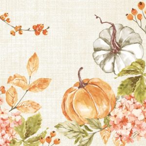 Duni Bio Dunisoft Servetten 40x40cm 2-lgs 1/4-vouw Spicy Pumpkin Pak 60 stuks