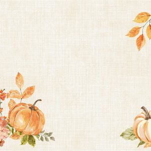 Duni Bio Dunicel Placemats 30x40cm Spicy Pumpkin Pak 100 stuks