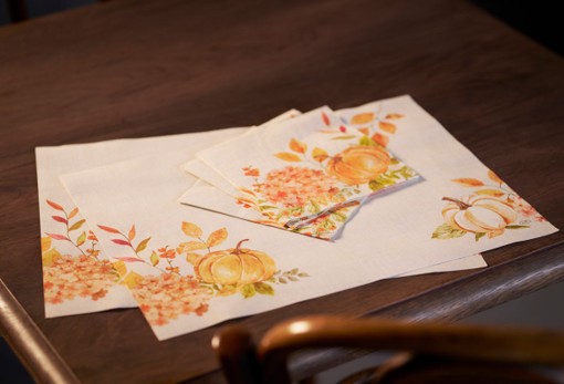 Duni Bio Dunicel Placemats 30x40cm Spicy Pumpkin Pak 100 stuks, foto 3 van 3