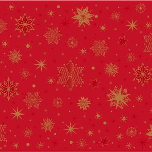 Duni Papieren Placemats 30x40cm Stargazing Red Pak 250 stuks
