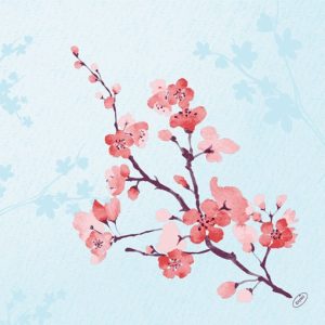 Duni Bio Dunisoft Servetten 40x40cm 2-lgs 1/4-vouw Cherry Breeze Blue Pak 60 stuks