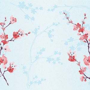 Duni Bio Dunicel Placemats 30x40cm Cherry Breeze Blue Pak 100 stuks
