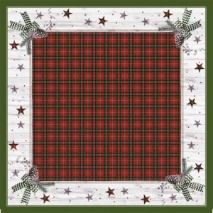 Duni Bio Dunicel Napperons 84x84cm Naturally Winter Pak 10 stuks