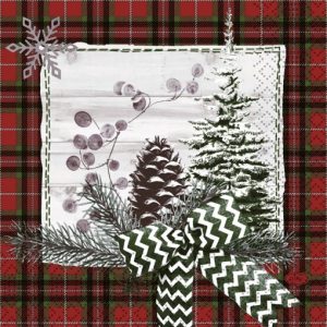 Duni Celstof Servetten 33x33cm 3-lgs 1/4-vouw Naturally Winter Pak 250 stuks